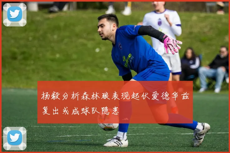 杨毅分析森林狼表现起伏爱德华兹复出或成球队隐患