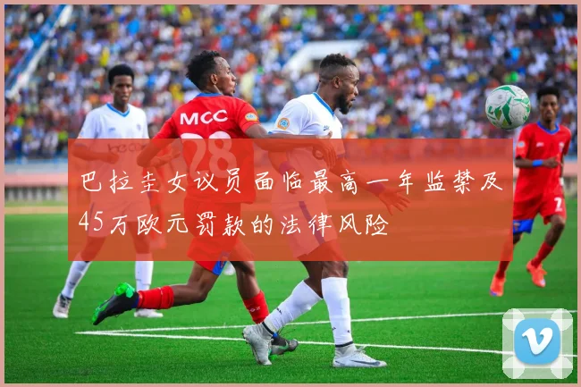 巴拉圭女议员面临最高一年监禁及45万欧元罚款的法律风险