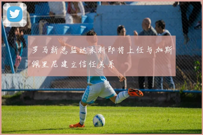 罗马新总监达米科即将上任与加斯佩里尼建立信任关系
