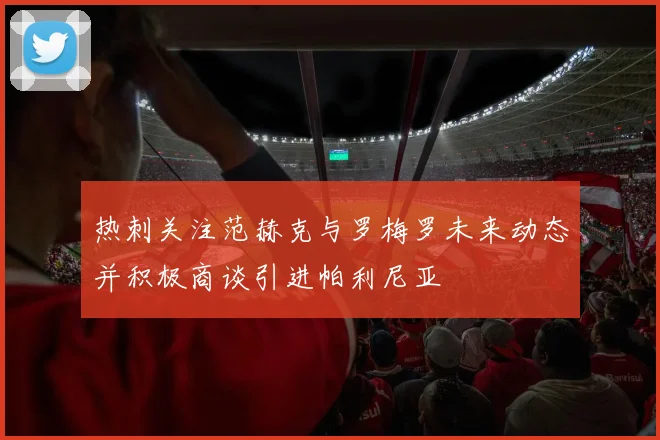 热刺关注范赫克与罗梅罗未来动态并积极商谈引进帕利尼亚